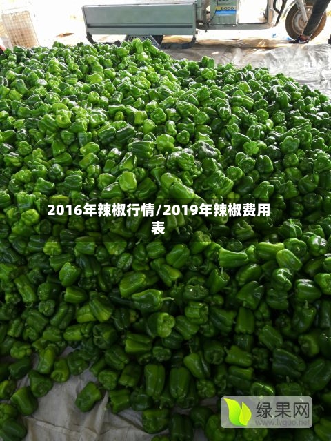 2016年辣椒行情/2019年辣椒费用表-第2张图片