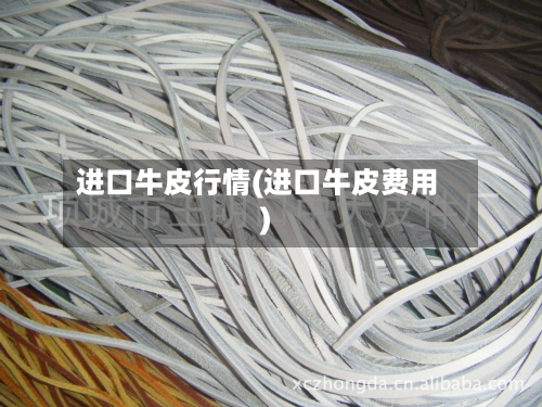 进口牛皮行情(进口牛皮费用)-第1张图片