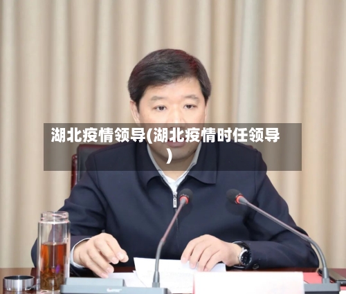 湖北疫情领导(湖北疫情时任领导)-第1张图片