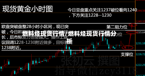 燃料烃现货行情/燃料烃现货行情分析-第1张图片