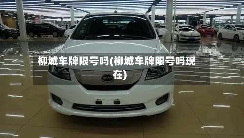 柳城车牌限号吗(柳城车牌限号吗现在)-第1张图片