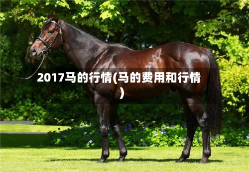 2017马的行情(马的费用和行情)-第2张图片