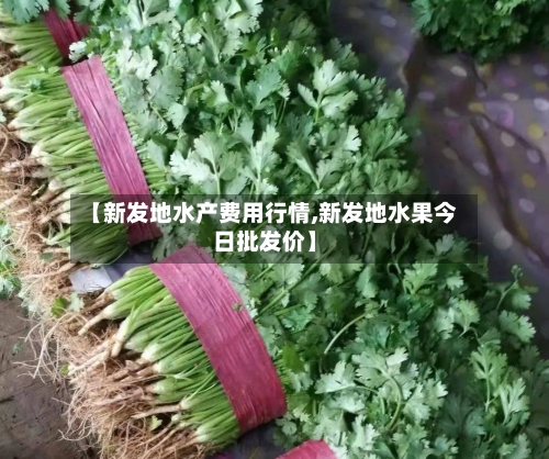 【新发地水产费用行情,新发地水果今日批发价】-第2张图片