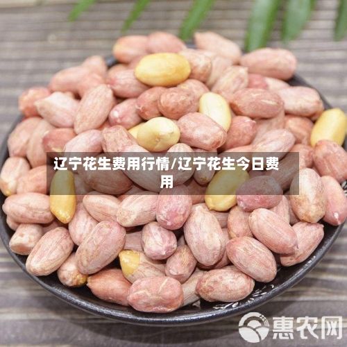 辽宁花生费用行情/辽宁花生今日费用-第2张图片