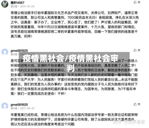 疫情黑社会/疫情黑社会审判-第3张图片