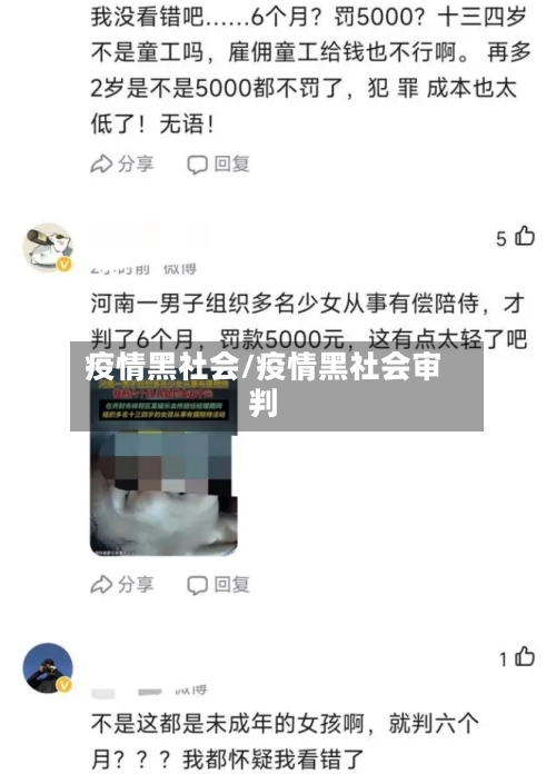 疫情黑社会/疫情黑社会审判-第2张图片
