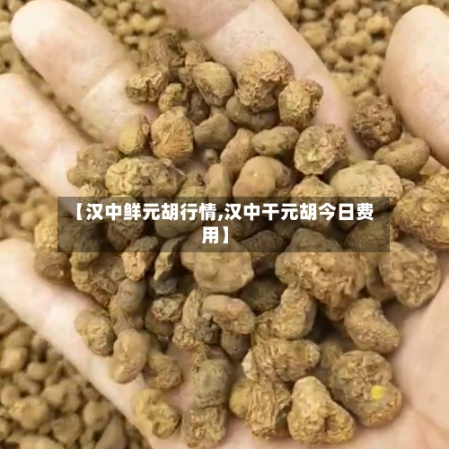 【汉中鲜元胡行情,汉中干元胡今日费用】-第1张图片