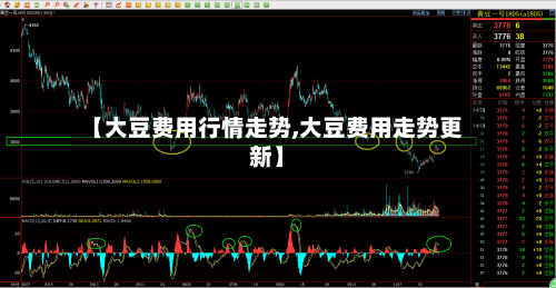 【大豆费用行情走势,大豆费用走势更新】-第3张图片