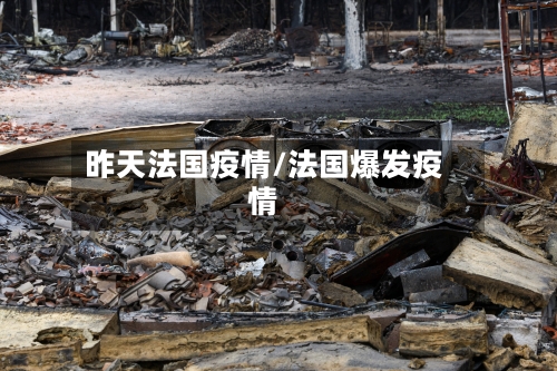 昨天法国疫情/法国爆发疫情-第3张图片