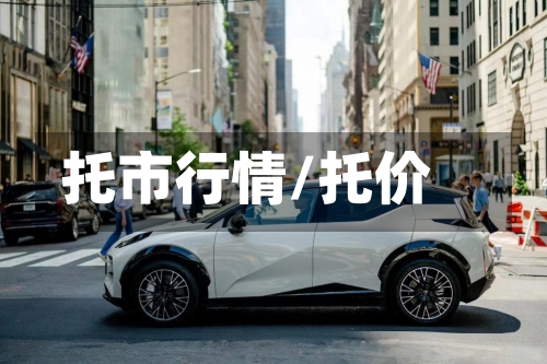托市行情/托价-第2张图片