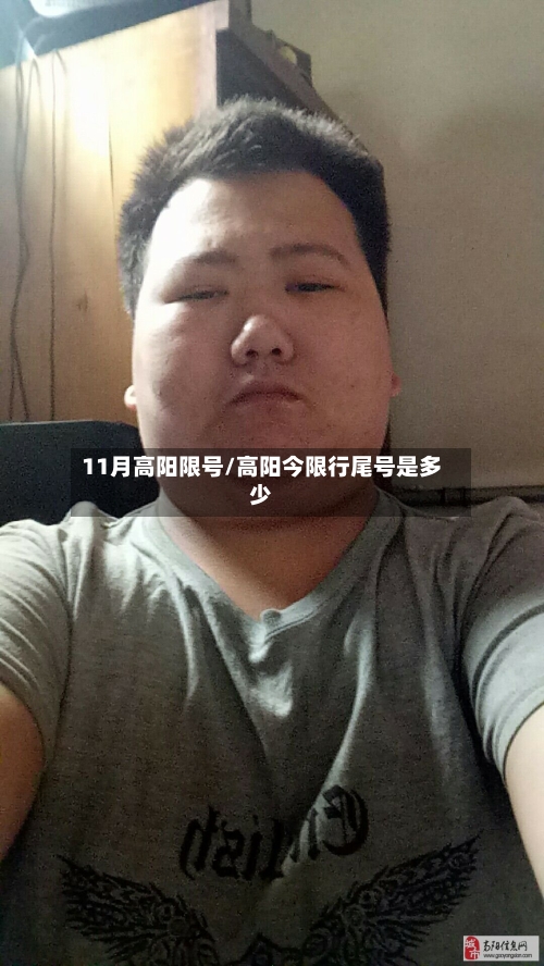11月高阳限号/高阳今限行尾号是多少-第2张图片