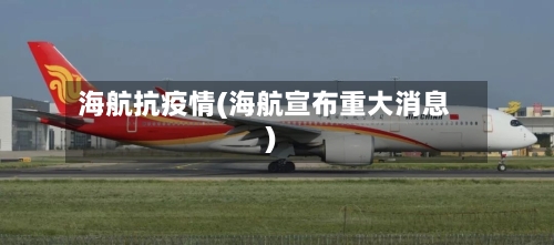 海航抗疫情(海航宣布重大消息)-第3张图片