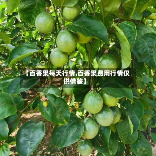 【百香果每天行情,百香果费用行情仅供借鉴】-第2张图片