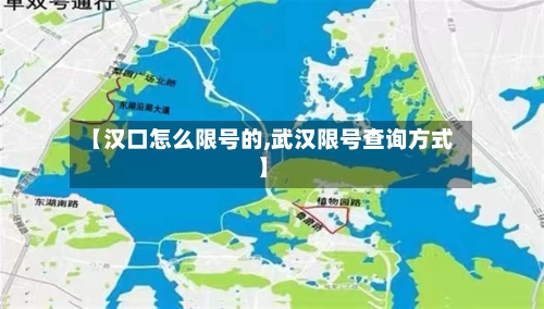 【汉口怎么限号的,武汉限号查询方式】-第3张图片