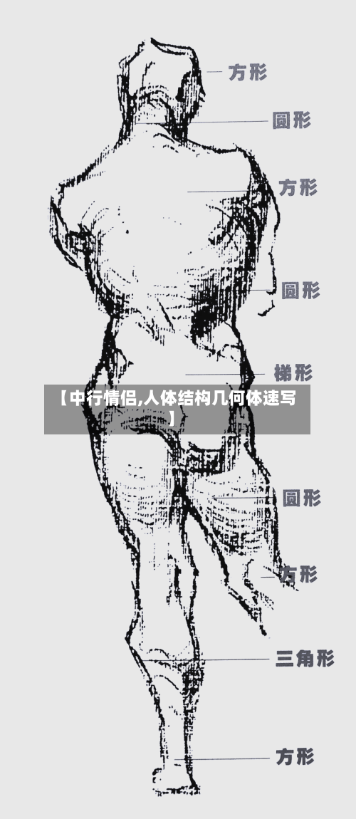 【中行情侣,人体结构几何体速写】-第1张图片
