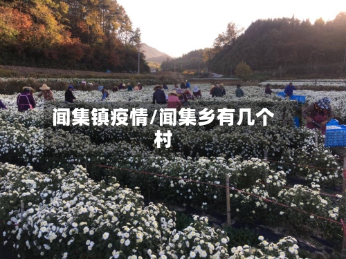 闻集镇疫情/闻集乡有几个村-第3张图片