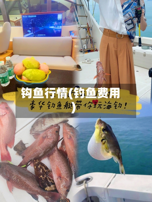 钩鱼行情(钓鱼费用)-第2张图片