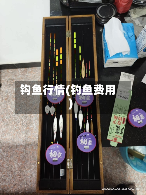 钩鱼行情(钓鱼费用)-第3张图片