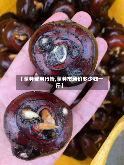 【荸荠费用行情,荸荠市场价多少钱一斤】-第3张图片