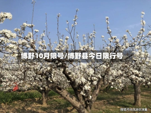 博野10月限号/博野县今日限行号-第3张图片