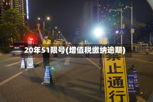 20年51限号(增值税缴纳逾期)-第2张图片