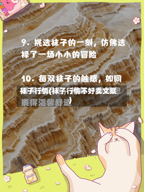 袜子行情(袜子行情不好卖文案)-第2张图片