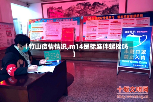 【竹山疫情情况,m14是标准件螺栓吗】-第2张图片